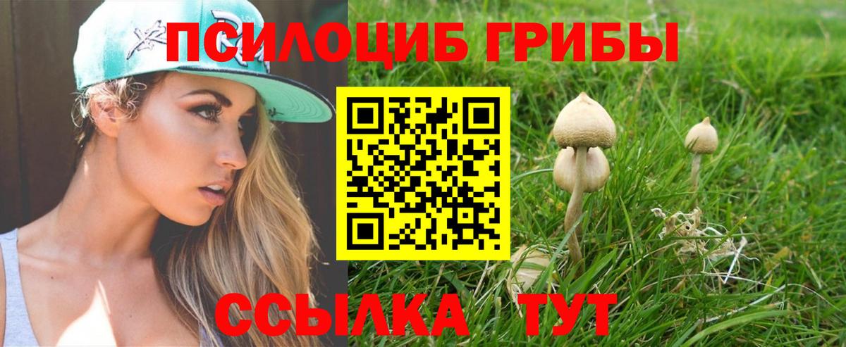 Галлюциногенные грибы Cubensis Костомукша
